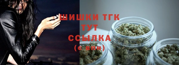дурь Арсеньев