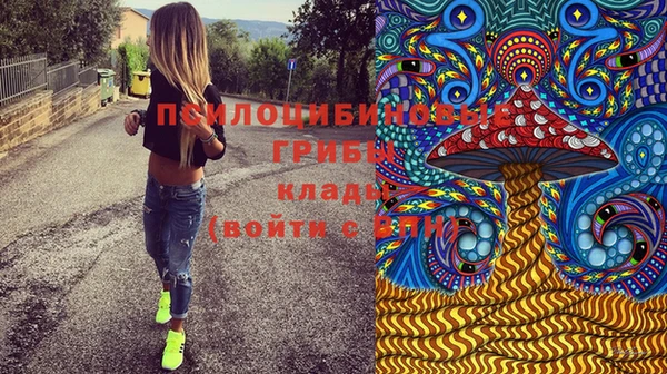 дурь Армянск
