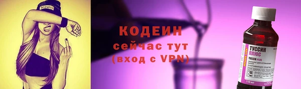 дурь Арсеньев