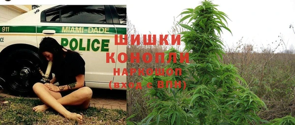 бутират Алзамай