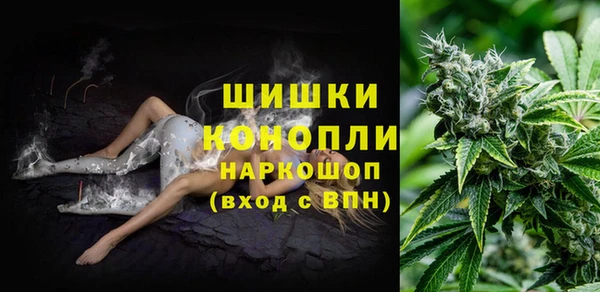 дурь Арсеньев
